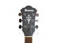 Ibanez AF55-TF Ibanez AF55-TF